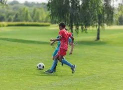 决战英超,阿森纳,曼城,开云体育,开云体育官网,开云体育app,开云体育app下载