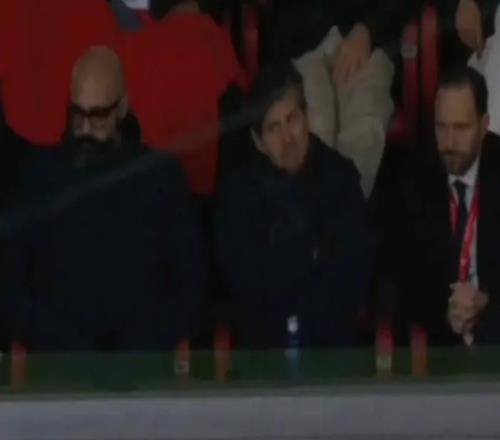 倪夏莲宣布,角逐第七届,奥运会,开云体育,开云体育官网,开云体育app,开云体育app下载