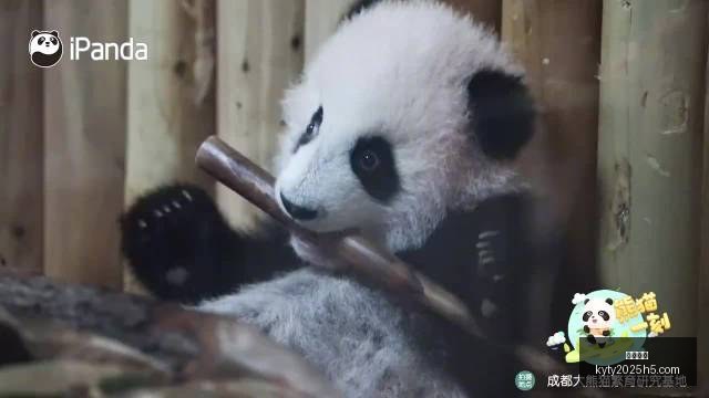 小米玄戒,突破,万大关,开云体育,开云体育官网,开云体育app下载