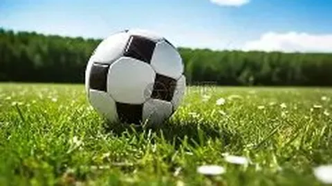 “巴塞罗那中场佩德里转会估值揭秘”