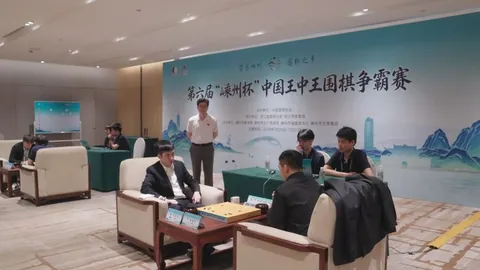 体育品牌电竞，开云体育官网，联名，爆款新品上市